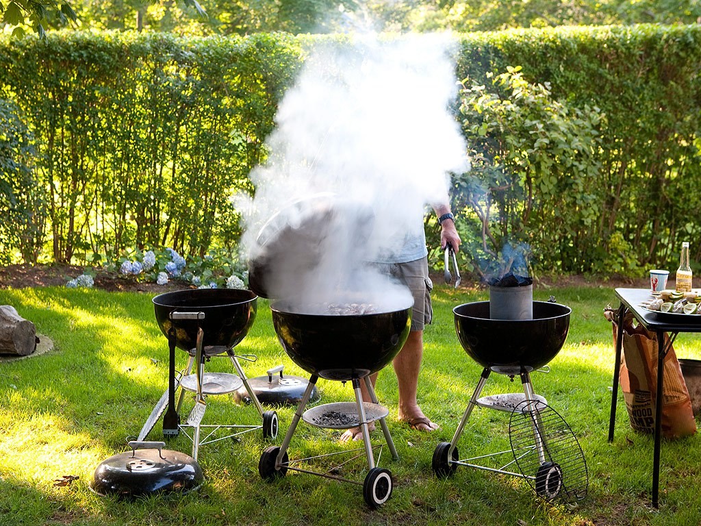 LEGGE E BARBECUE: GRIGLIARE IN GIARDINO