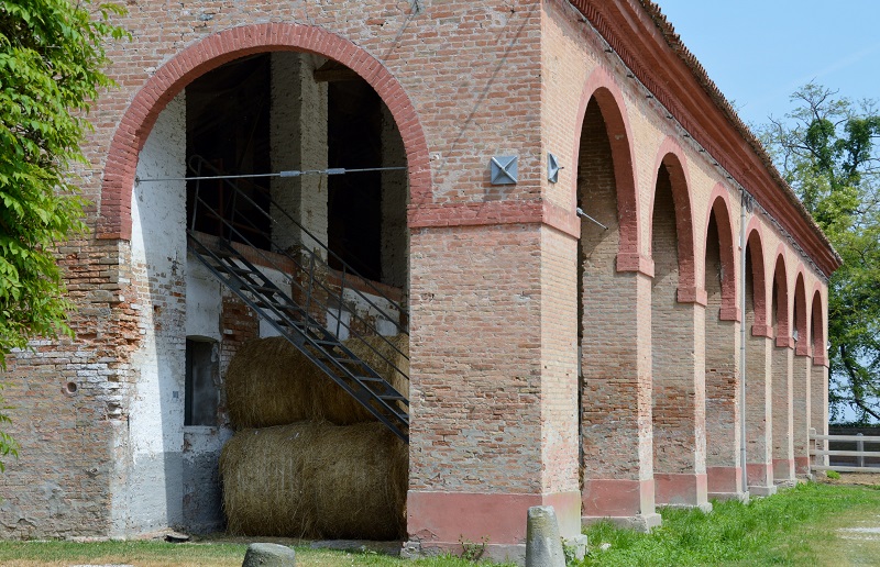 CARNE DI KOBE: L'azienda degli allevamenti Waygu