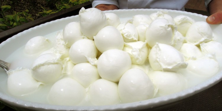 MOZZARELLA DI BUFALA