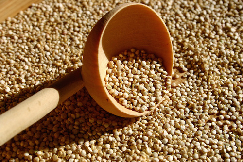 IL GRANDE BLUFF DELLA QUINOA