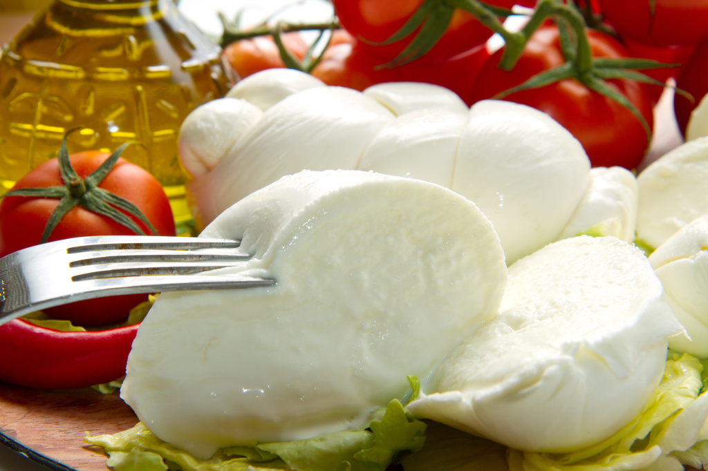 mozzarella fresca