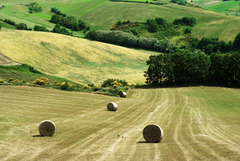 Molisanissimo: countryside