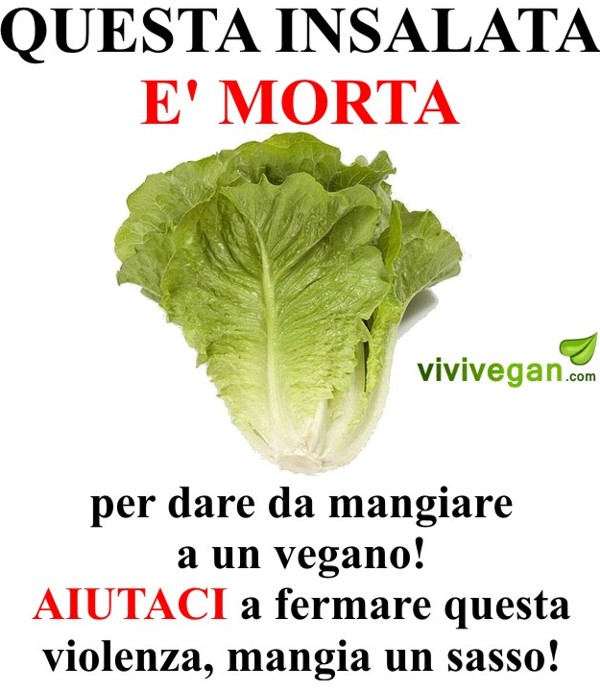 Cosa è proibito per un vegano? 2