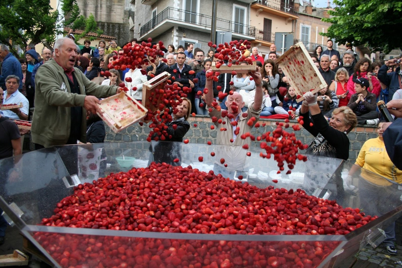 FRAGOLE SULLA GRIGLIA