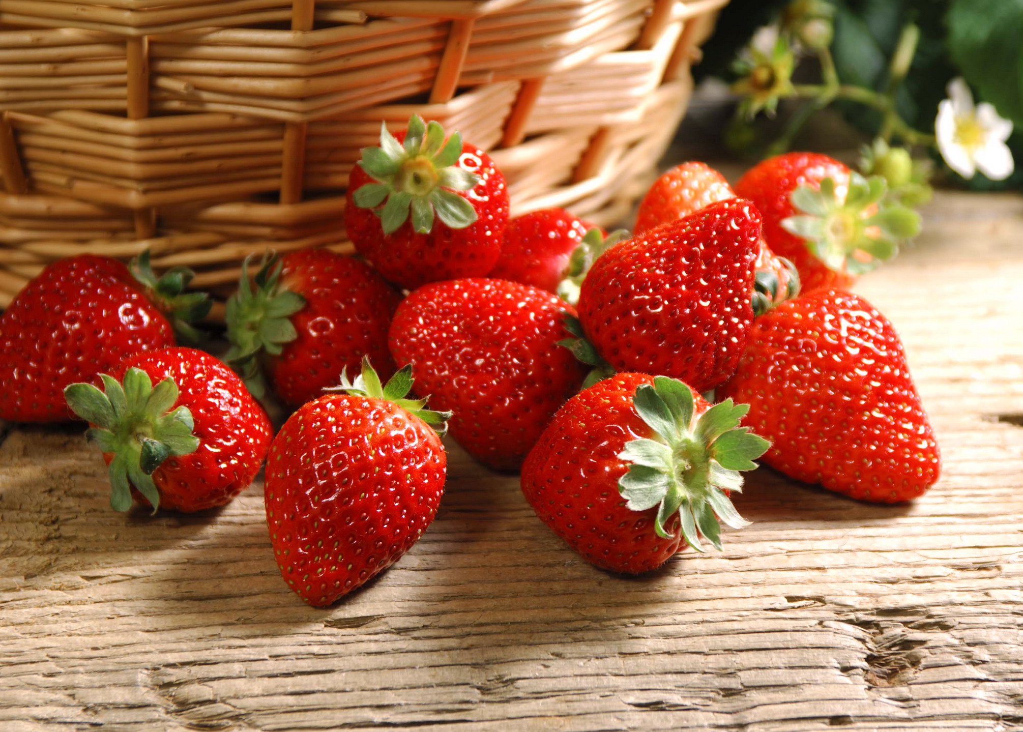 FRAGOLE SULLA GRIGLIA