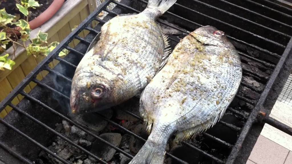 PESCE POVERO PUGLIESE