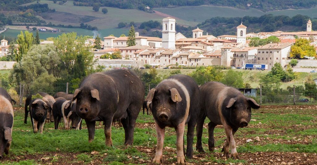 IL TERREMOTO METTE IN GINOCCHIO LE AZIENDE