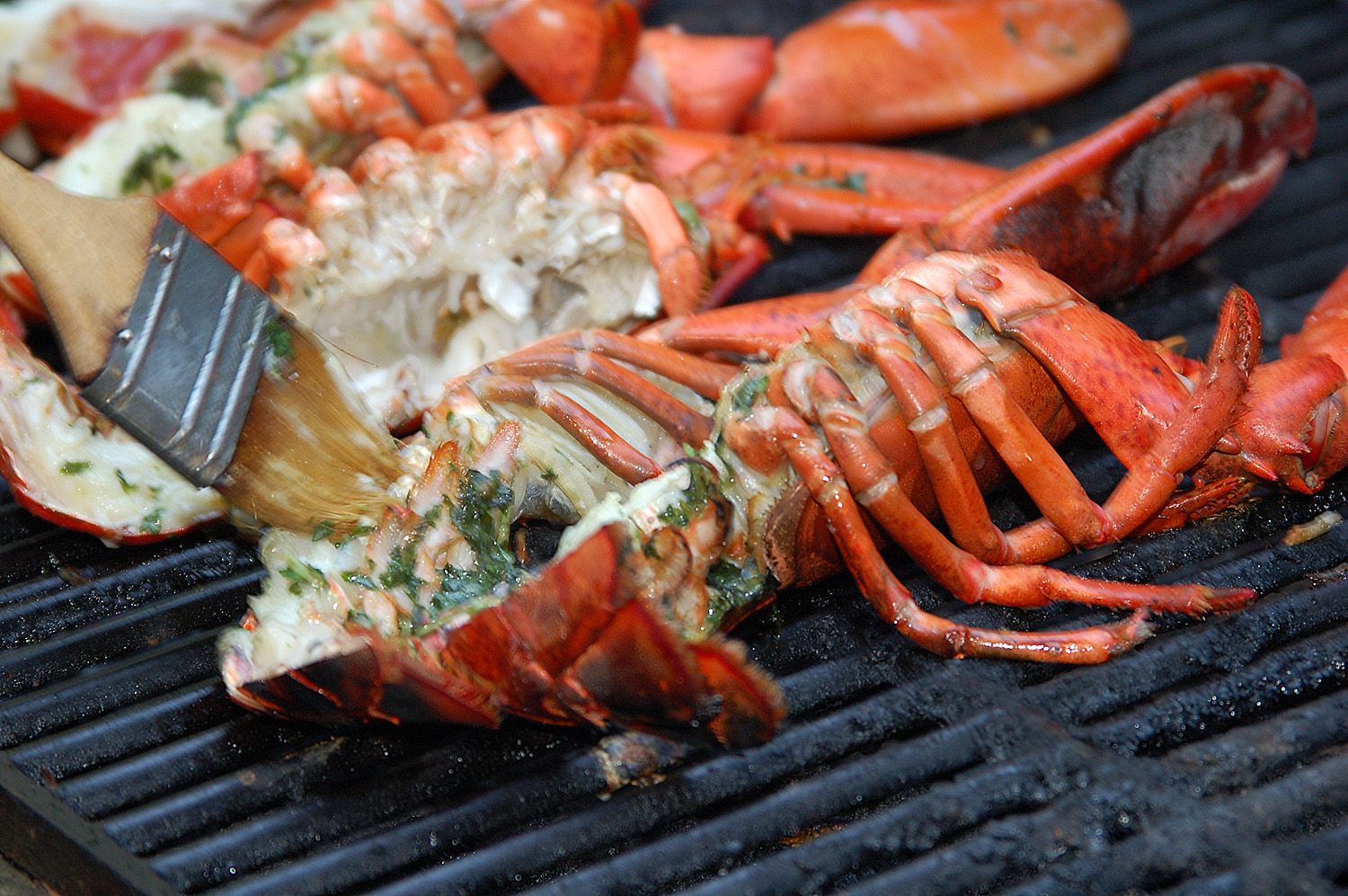 baste-lobster-on-grill-lg-58b4b7bc3df78cdcd86da4a8