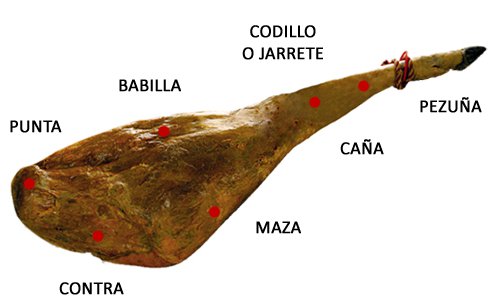 cortador pata negra