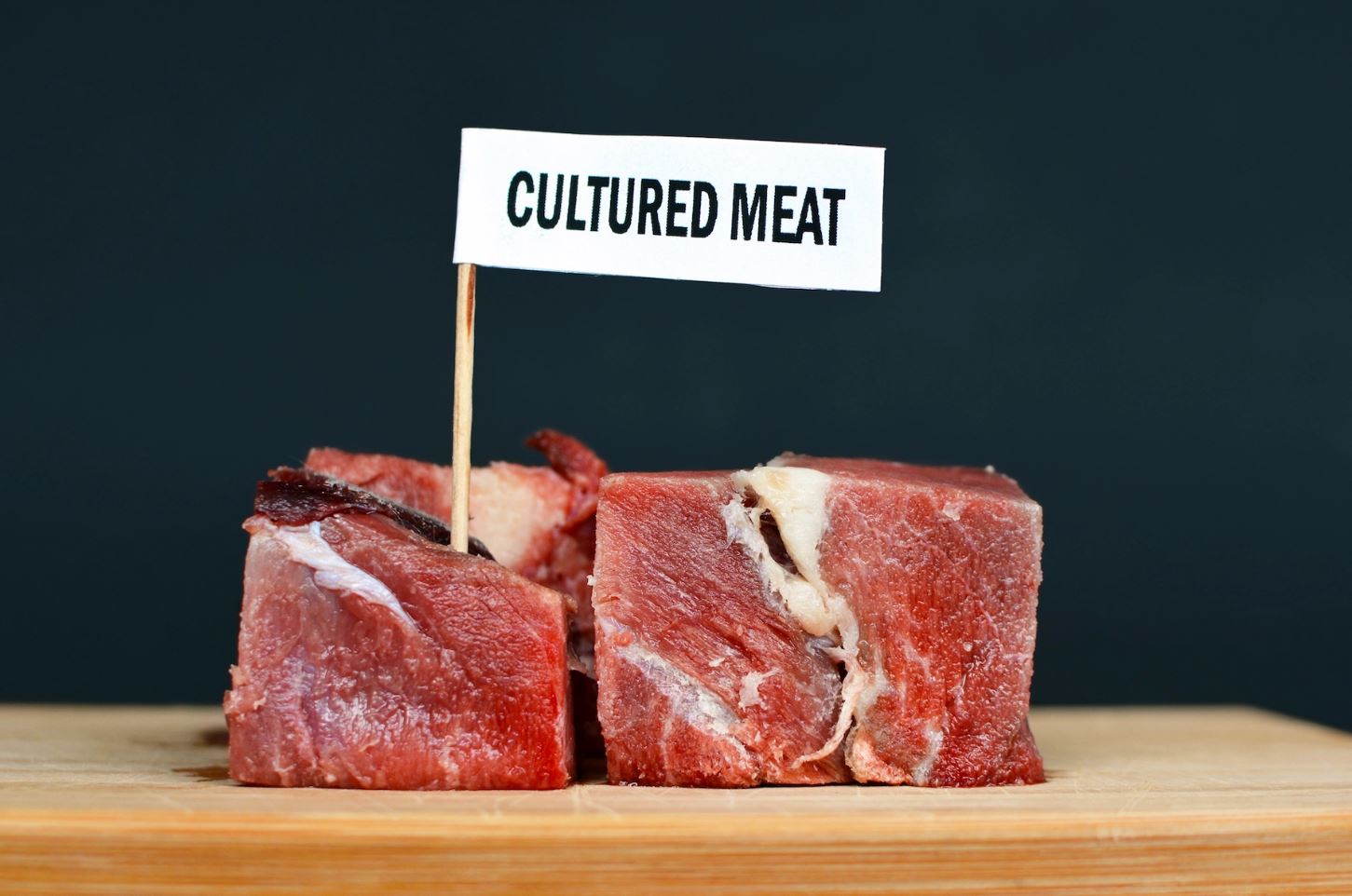 carne sintetica