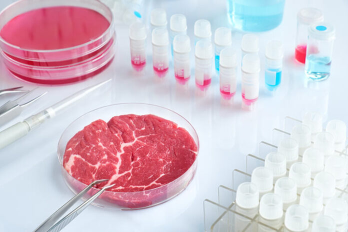 carne sintetica