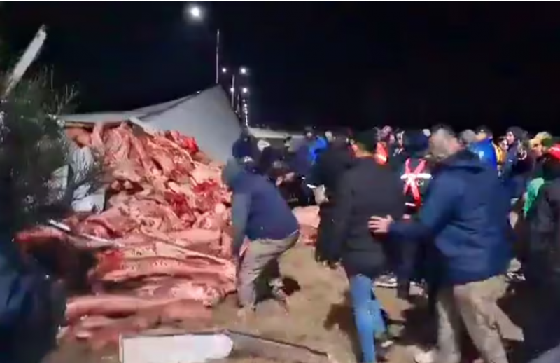 23 tonnellate di carne