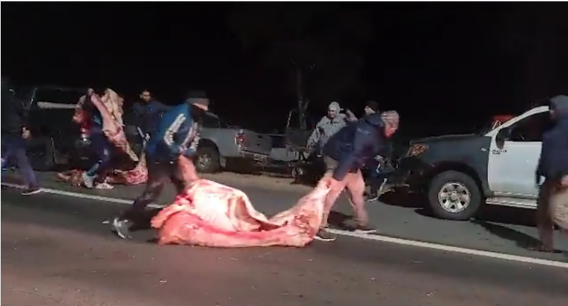 23 tonnellate di carne