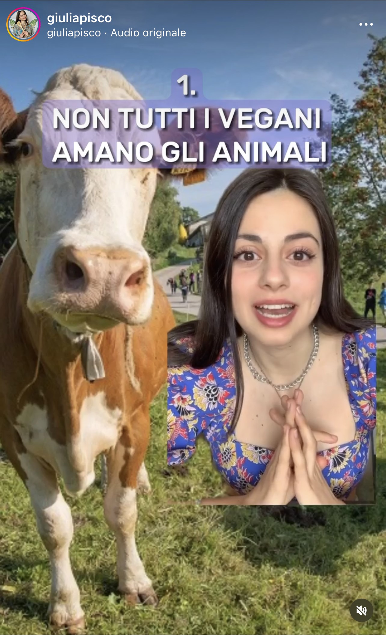 vegani nessuno vi odia