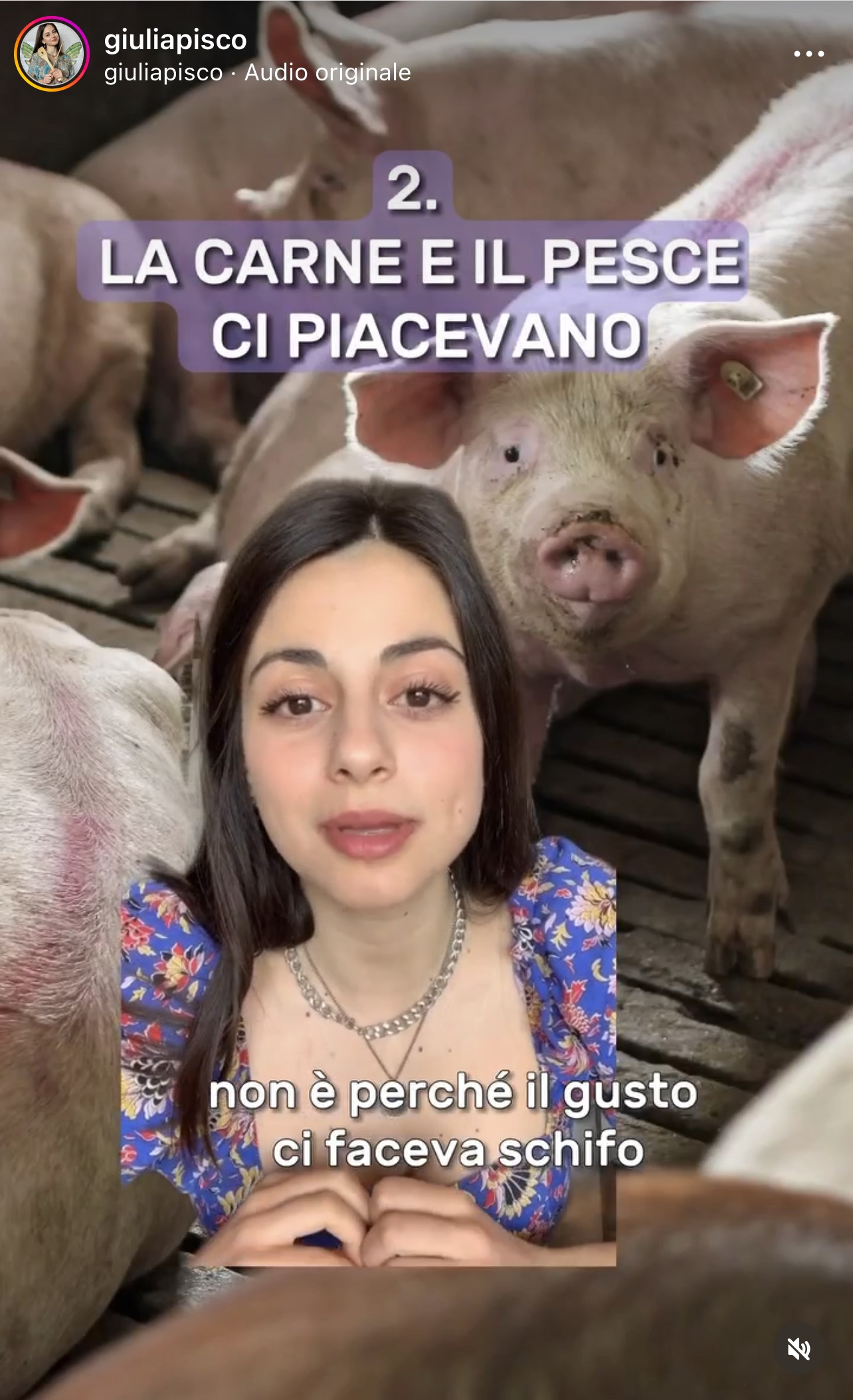 vegani nessuno vi odia