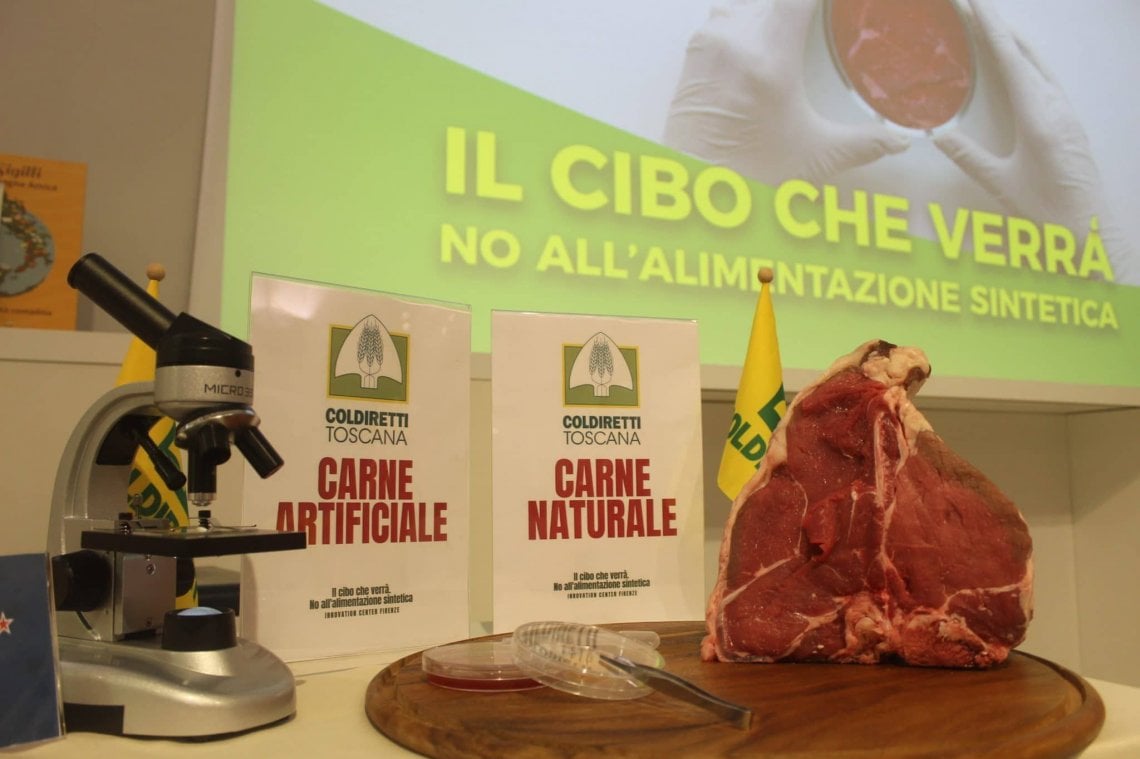 CARNE SINTETICA