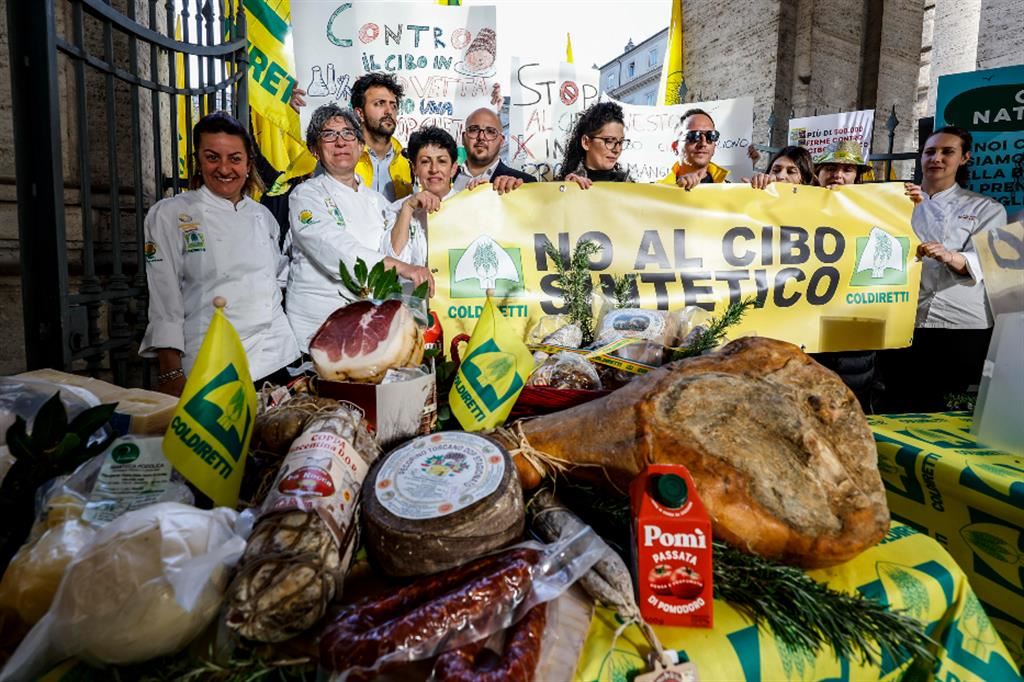 CARNE SINTETICA